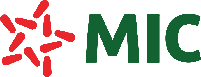 LOGO MIC - NGUYEN BAN